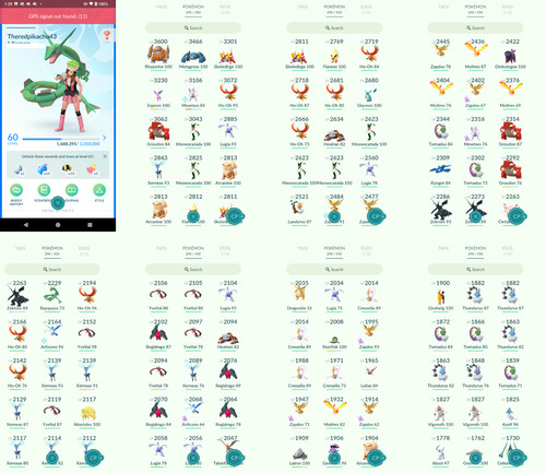 Pokémon acc livello 67 - pokémon,